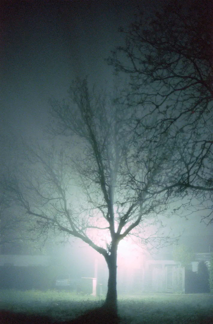 media/gallery/cinestill_08.png