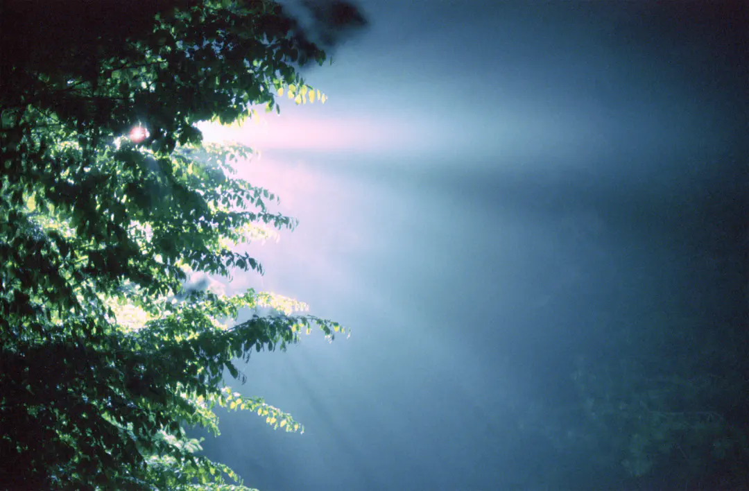 media/gallery/cinestill_10.png