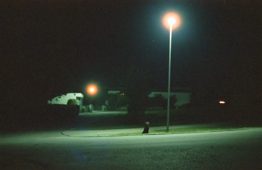 media/gallery/cinestill_11.png