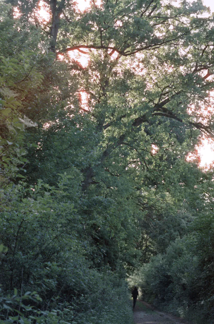 media/gallery/cinestill_12.png